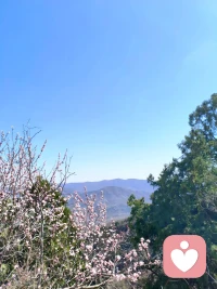 爱是细节，不爱也是。
无数个需要你的瞬间，我都选择了闭嘴，
你不懂我突然的沉默，又怎么懂我不想说的难过。配图