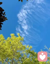 情绪价值，是一枚既昂贵又廉价的人生筹码。
  它昂贵，是因为能直接牵动一个人的状态与动力。管理者懂得恰到好处地给予，便能唤醒团队的内在驱动力，让人甘愿全力以赴，创造出远超预期的价值。
  它廉价，是因为它无形无质，无需物质堆砌，也不用金钱衡量。明明随处可得，却常常被人忽略。
 温柔的话、稳定的情绪、恰到好处的理解，看似不值钱，却能撑起一段关系、凝聚一个团队，也能治愈一颗疲惫的心。配图