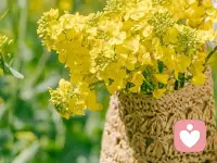 生活不怕平淡，开心就会灿烂。真情不论聚散，联络就有温暖。
四月，你好~配图