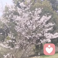 自醒自愈，自清自欢。
以温柔之心，倾听万千心事💛配图