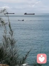 所有历经的磨练，终会化作成长的勋章。人往往都要在不喜欢的境遇里，悄悄褪去稚气、慢慢成熟。学会独自扛下风雨，往后余生，勇敢前行，坦然迎接命运赋予的一切。