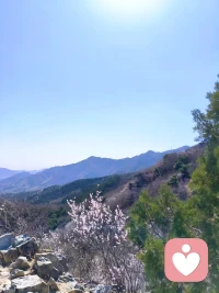 所有看似异常、难以理解的行为背后，都藏着一份未被看见的痛苦。
 有人暴躁易怒，是在对抗长久的压抑；有人沉默退缩，是在保护脆弱的自己；有人偏执极端，是找不到更温和的方式自救。
 没有谁会无缘无故变得“奇怪”，那些不合常理的举动，都是内心无声的呼救。
 温柔与理解，才是治愈痛苦最柔软、也最强大的力量。