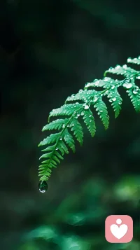 世界有时很吵，那些说不出口的话，没地方安放的情绪，都可以在这里说。我会一直陪着你配图