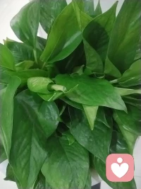 先照顾好自己，世界才会属于你。
风雨由天，快乐由己，健康至上，心安即是归处。
学会自己撑伞，自己取暖，不依赖、不强求。
生活本就有酸甜苦辣，人心本就有冷暖远近。
不必独自硬撑，你的情绪，我认真倾听。