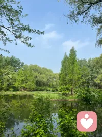 在这个快节奏的世界里，我们似乎总在赶路，却忘了停下来抱抱那个疲惫的自己。如果你心里装了太多事，找不到人说，或者不敢对熟人说，那就来我这里吧。这里没有评判，没有说教，只有一个愿意无条件接纳你的树洞。你的脆弱、委屈、迷茫，在这里都是安全的。会一直陪着你。配图