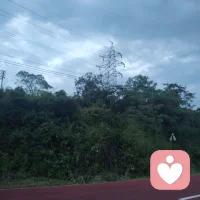 见过太多分分合合，才明白：物质可以打拼，真心难得相逢。
 
成熟的爱，是理解差异、欣赏彼此，不轻易放手，不苛求圆满。最好的关系大抵如此：你笃定相守，我便勇敢同行。

不必遗憾没能遇见契合的人，深情本就是可遇不可求。长久的感情从没有标准答案，唯有尊重、包容与双向的珍惜，才能走得长远。配图