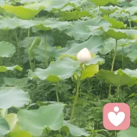 走自己的路，赏独属于自己的风景。
喜欢随心，遵从内心感受，本无对错之分。
迷路亦是旅途，绕远亦有别样风光。
不必逼自己活成标准答案，你的情绪与选择，都值得被温柔接纳。配图
