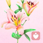 静芯的头像