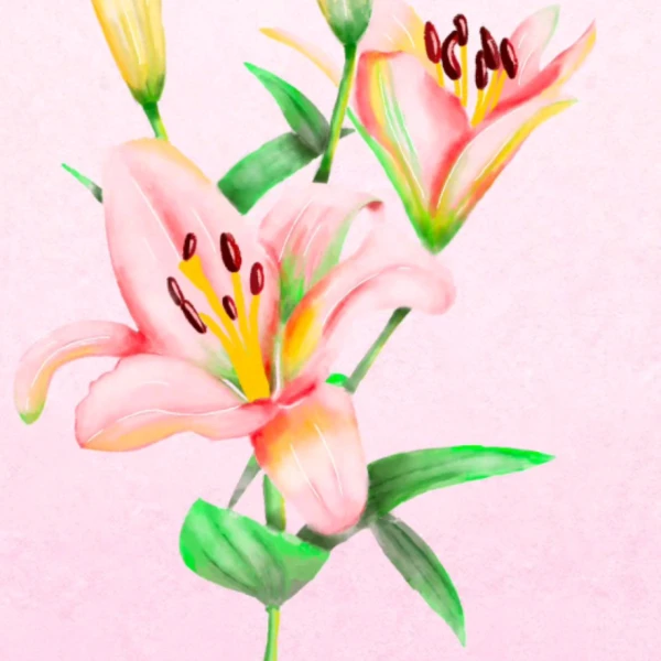 静芯