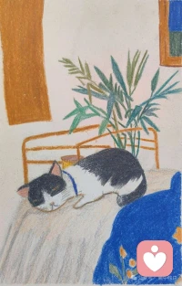 4.1 选择性注意 
选择性注意（selective attention)，指的是我们通常把注意集中于一项或一些工作和事件而不是同时关注许多。要想在心理上集中资源，就意味着我们会关闭停止（或至少是很少加工来自其他任务的信息）其他相竞争的任务。配图