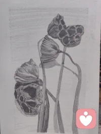 疗愈内在小孩，不是要抹去过去，而是温柔地回到内心最深处，抱抱那个曾经受伤、孤单、努力长大的自己，告诉他：“我看见你了，从今天起，我会好好保护你。”