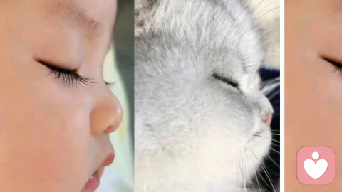 心理咨询个案记录报告