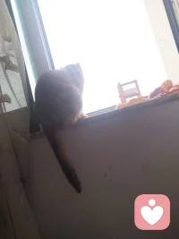 为你写下一张心理日签：

“你不必等到‘完美’才开始爱自己。
裂缝，正是光进入你的地方。”

今天，试着像对待最好的朋友那样，
与自己说第一句温和的话。配图