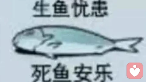 焦虑个案分析