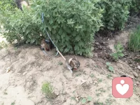 今日份儿心理微博

今天想聊聊「情绪暂停键」。

你有没有过这样的时刻——明明知道不该发火，可话一出口就后悔了？明明想好好沟通，结果越说越拧巴？

心理学里有个特别实用的工具，叫「情绪暂停法」。当你感觉情绪要失控时，试着对自己说：停一下，我需要6秒钟。

这6秒里，深呼吸三次，问问自己：我现在的感受是什么？我真正想要的是什么？

很多时候，我们不是被事情困住了，而是被瞬间的情绪卷跑了。学会给自己的情绪按暂停键，不是压抑，而是给自己一个选择的权利——选择回应，而非反应。

愿你今天，也能在情绪升起时，温柔地按下那个暂停键。🧡配图