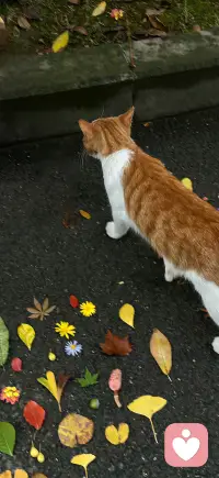 生活总在一边崩溃一边自愈，那些无人理解的委屈、深夜里的疲惫，不用一个人硬扛。说出来不是脆弱，是放过自己。慢慢来，会有人认真听你，也会慢慢好起来。