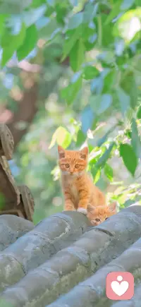 在每一段的人际关系里，都无法做到全身而退，经历了才会懂得，就像妈妈说的，不当家不知柴米贵！