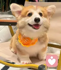 情绪没有对错，允许自己难过，也允许自己被治愈。