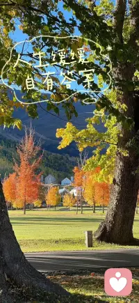 人生本就是一边治愈一边成长。看淡得失，放下烦恼，心宽了，路就顺了，一切都会慢慢变好。