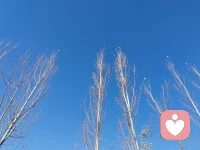 曲则全，枉则直。洼则盈，弊则新。少则得，多则惑，是以圣人抱一为天下式。不自见，故明。不自是，故彰。不自伐，故有功。不自矜，故长。夫唯不争，故天下莫能与之争。古人皆明白的事理，今人更应明鉴配图