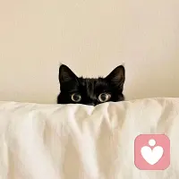 不困于过往，不扰与流言，不负于初心，不亏与自我配图