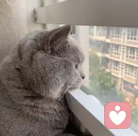 成年人的默契，是“在吗”后面都藏着半句没说出口的话。

是凌晨三点刷到对方两小时前分享的歌，点开听完，默默点了赞，却不敢说“我也没睡”。

是聊天框里打了又删的“最近好吗”，最后变成了一句不痛不痒的“改天聚”。

我们都学会了把想念调成静音，把关心伪装成随手转发。

然后，在别人的故事里，偷偷流自己的眼泪。如果有共鸣，可以找我聊聊配图