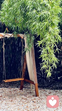 陪伴师|倾听｜情绪疏导｜暖心陪伴 温柔而坚定，治愈而有边界 你说，我听，我在。配图