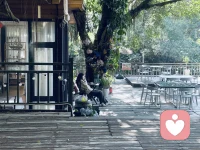 不必急于治愈所有伤口，有些成长需要时间轻轻包裹