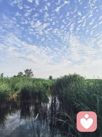 人生永远没有太晚的开始，只要你愿意行动，那么，现在就将是最好的开始。只要你想，一切都来得及。配图
