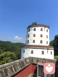 [

🌹世上最舒服的关系，聊得来、信得过、靠得住。快乐分享错了人，便成了炫耀；难过倾诉错了人，就成了笑话。唯有频率相同的人，才能看见你沉默下的波涛，读懂你笑容里的山河。🌹配图