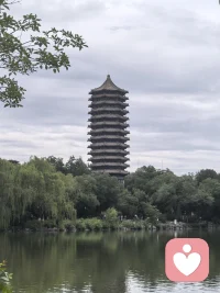 每个人都向往诗和远方，但平凡的生活才是日常。生活从来不缺风景，难的是有心欣赏。
不慌不忙，不卑不亢，万物静观皆自得！配图