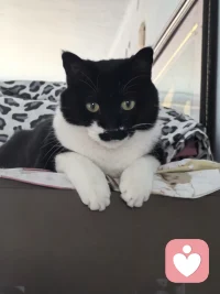 看见，就完成了疗愈的一大半。看见之后🙏🙏🙏多去发现生活中，美好、温暖、治愈的瞬间。用爱与温暖填满内心，伤痛就会慢慢变淡👏🏽👏🏽👏🏽
学会自己滋养自己，才能真正疗愈、真正站起来。✊✊✊配图