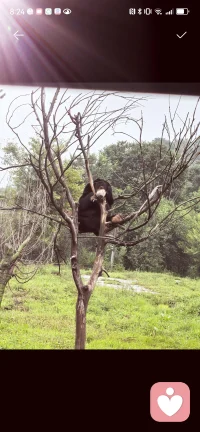 看见，就完成了疗愈的一大半。看见之后🙏🙏🙏多去发现生活中，美好、温暖、治愈的瞬间。用爱与温暖填满内心，伤痛就会慢慢变淡👏🏽👏🏽👏🏽
学会自己滋养自己，才能真正疗愈、真正站起来。✊✊✊配图