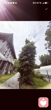 没钱的时候，把勤舍出去，钱就来了，这叫天道酬勤；

有钱的时候，把钱舍出去，人就来了，这叫财散人聚；
有人的时候，把包容舍出去，事业就来了，这叫厚德载物；
事业成功后，把智慧舍出去，人生的意义就来了，这叫德行天下配图