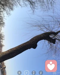 人生是用来体验的，不是用来演绎完美的

    接受自己迟钝，
    接受自己平庸！
    允许自己犯错，
    允许自己偶尔断电！
    放下焦虑，接受每一个阶段的自己！配图