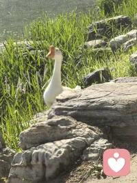 向内求己 向外求缘 向下扎根 向上成长。

一个真正智慧觉醒的灵魂，不是因恐惧而背离内心，而是敢于直面自我，并在孤独中跨越山海，最终找到自己。

与优秀的人同行，会让你走的更远，与懂你的人共事，会让你轻松愉快。配图