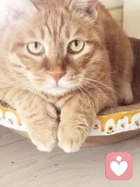 做个知足的人安稳而自由，
做个重情的人，不负遇见，
做个乐观的人，随遇而安，
做个简单的人，开心过好每一天，
不求最好，只求刚刚好~配图