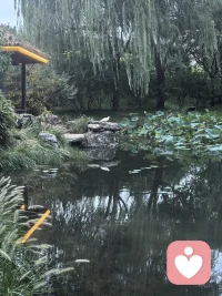 人生最好的状态，是眼里有光，心中有梦。认准一件事，就认真坚持，慢慢变好！配图