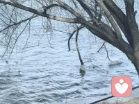 人生最好的贵人，是努力的自己！

没有不劳而获，也没有坐享其成，

若比别人贪心，请比别人用心！

一分耕耘，一份收获，🌹🌹🌹

不求与人攀比，但求突破自己👊👊👊配图