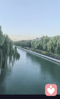 君子养心，莫善于诚。
心学之诚，不在空谈，
而在躬身践行，守住本心。
诚于己，不欺良知，
放下浮躁，接纳真实，内心自会安宁通透。
诚于人，以心换心，
真心待人，坦荡做事，方能赢得长久信任。
诚于事，踏实专注，念念守诚，终有回响。
不敷衍、不投机，每一步努力都算数。
以诚养心，以诚立身。
在喧嚣尘世中，守一份真诚，
便拥有行走世间最稳的底气。配图