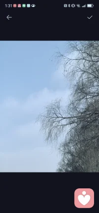 君子养心，莫善于诚。
心学之诚，不在空谈，
而在躬身践行，守住本心。
诚于己，不欺良知，
放下浮躁，接纳真实，内心自会安宁通透。
诚于人，以心换心，
真心待人，坦荡做事，方能赢得长久信任。
诚于事，踏实专注，念念守诚，终有回响。
不敷衍、不投机，每一步努力都算数。
以诚养心，以诚立身。
在喧嚣尘世中，守一份真诚，
便拥有行走世间最稳的底气。配图