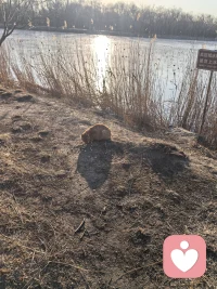 善良从来不是无用的，它会在漫长的岁月里，变成一场跨越山海的回响。愿每一个流浪的灵魂，都能够被岁月温柔以待。愿每一份一眼入心的相遇，都能换来此生不渝的相伴。配图