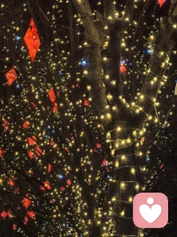 世界再美，留一只眼睛看自己配图