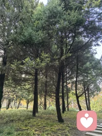 真正的接纳，不是强行改变，也不是非要解决所有问题，而是看见它、允许它存在就好。配图