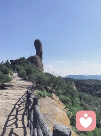 花开不是为了别人，是为了自己，你不必活成谁的期待，只要活成自己的光，不必讨好世界，不必迎合目光，在自己的节奏里，慢慢盛开，静静发光。
你本就珍贵，
无需谁来定义配图