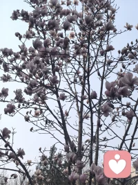 嫉妒
从不是他人的错，而是自我内心的失衡
 
它毫无意义，只会悄悄消耗你的能量
是修心路上，必须跨过的小小关卡
 
在集体意识里，每个人都有独属的价值
不必用别人的光芒，否定自己的存在
 
放下嫉妒，向内修心
你终会看见，自己本就耀眼配图