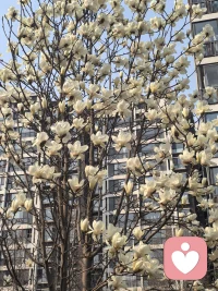 嫉妒
从不是他人的错，而是自我内心的失衡
 
它毫无意义，只会悄悄消耗你的能量
是修心路上，必须跨过的小小关卡
 
在集体意识里，每个人都有独属的价值
不必用别人的光芒，否定自己的存在
 
放下嫉妒，向内修心
你终会看见，自己本就耀眼配图