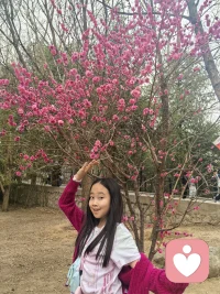 半杯水哲学
两个人走沙漠迷路，又渴又累。
悲观者看见只剩半杯水，绝望哀嚎：“只剩半杯，很快就喝完了，我要死在这里。”
乐观者看见还有半杯水，心生感恩：“太好了，还有半杯水，我一定能撑到走出沙漠。”
结局：悲观者放弃前行，渴死原地；乐观者靠着信念坚持，最终获救。
👉 感悟：绝望者看见匮乏，觉醒者看见希望。心态不死，生机不灭。配图