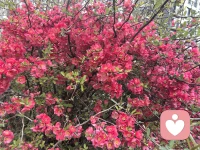 最高级的智慧，不是征服世界，而是温柔地对待这个不完美的世界，以及身边每一个不完美的人。
向下兼容，不是为了讨好谁，而是为了让自己活得更通透、更从容。
当你学会了包容，你就戒掉了傲慢；当你戒掉了傲慢，你就拥有了驾驭一切的底气。配图