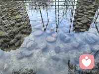 最高级的智慧，不是征服世界，而是温柔地对待这个不完美的世界，以及身边每一个不完美的人。
向下兼容，不是为了讨好谁，而是为了让自己活得更通透、更从容。
当你学会了包容，你就戒掉了傲慢；当你戒掉了傲慢，你就拥有了驾驭一切的底气。配图